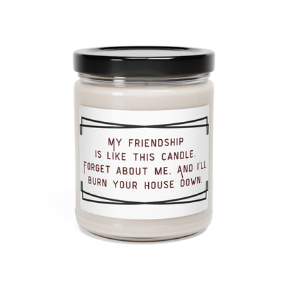 Scented Soy Candle, 9oz.  My friendship is like this candle, forget about me and I will burn the house down