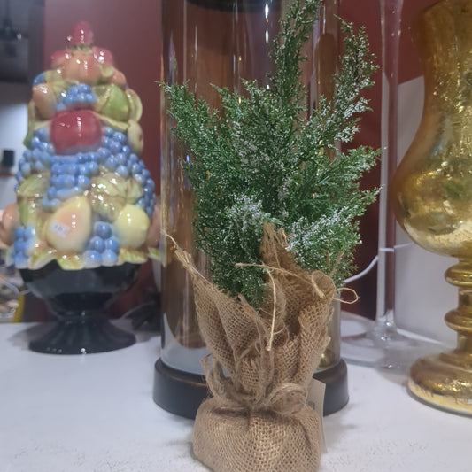 Snowy Mini Cedar Tree w/Burlap Base, 11.5"