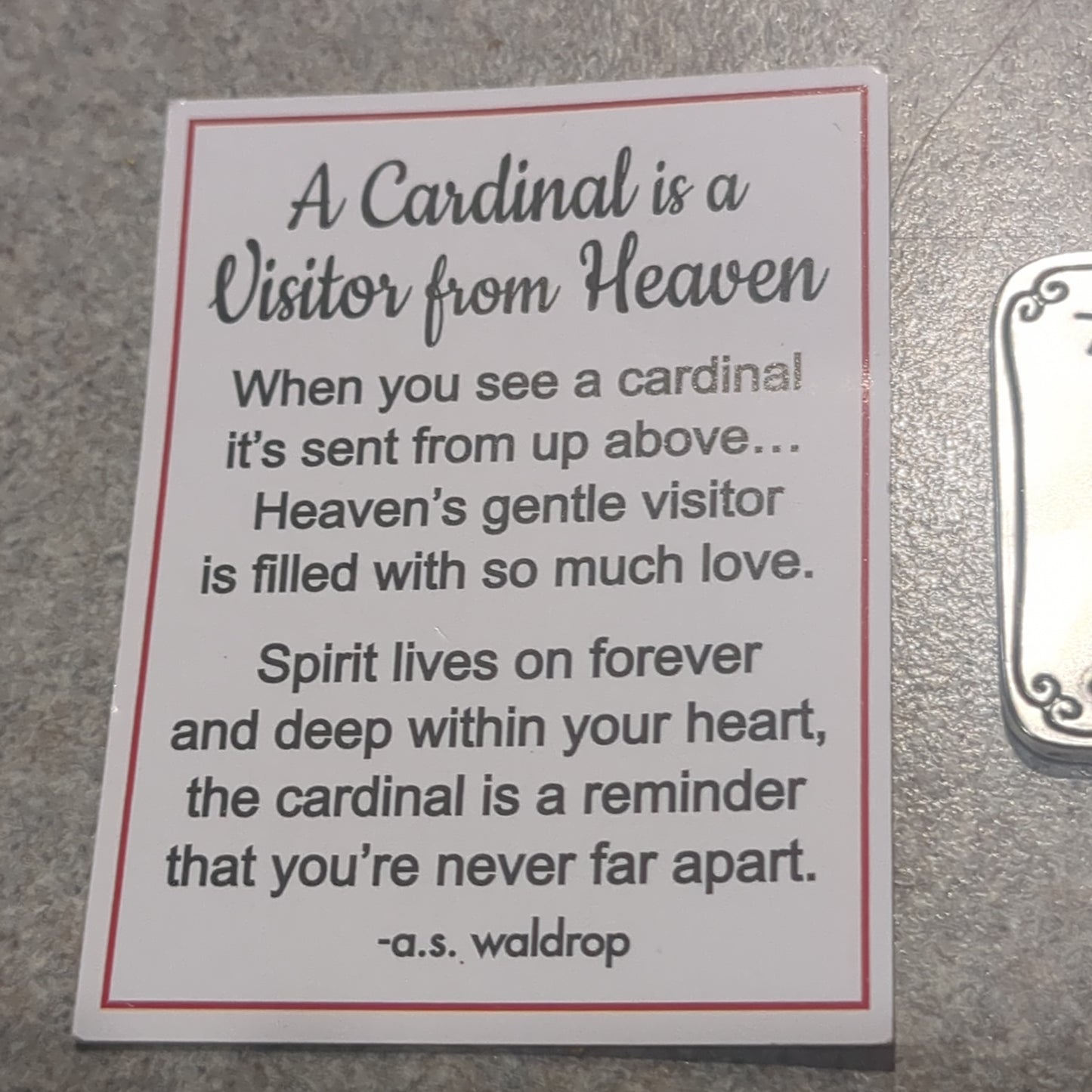 Always in my thoughts Cardinal charm