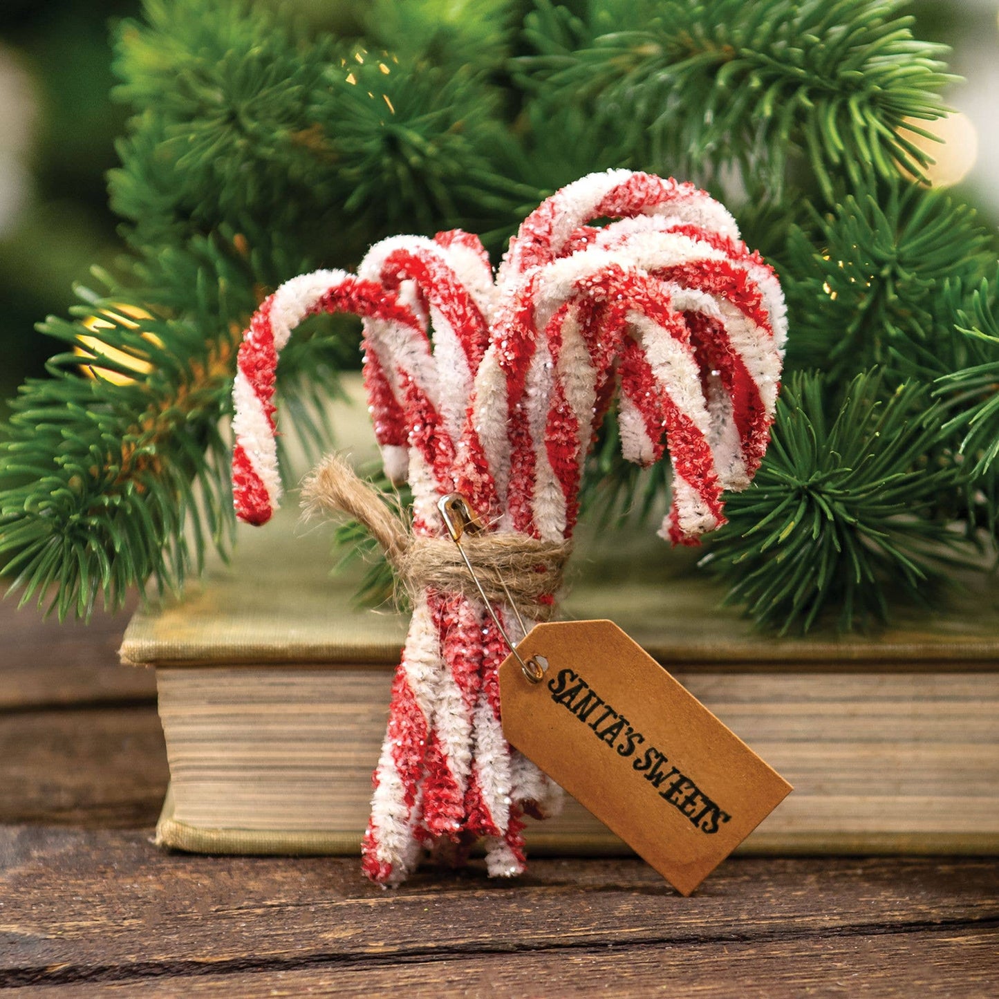 Sparkle Chenille Candy Canes 12/set