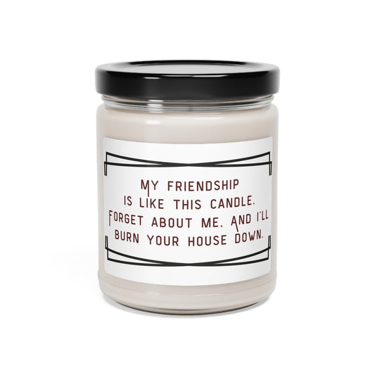 Scented Soy Candle, 9oz.  My friendship is like this candle, forget about me and I will burn the house down