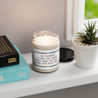 Scented Soy Candle, 9oz.  My friendship is like this candle, forget about me and I will burn the house down